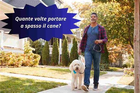 Portare a spasso il cane non è mai stato così Chic: la pre 